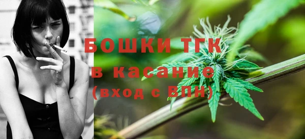 твердый Кулебаки