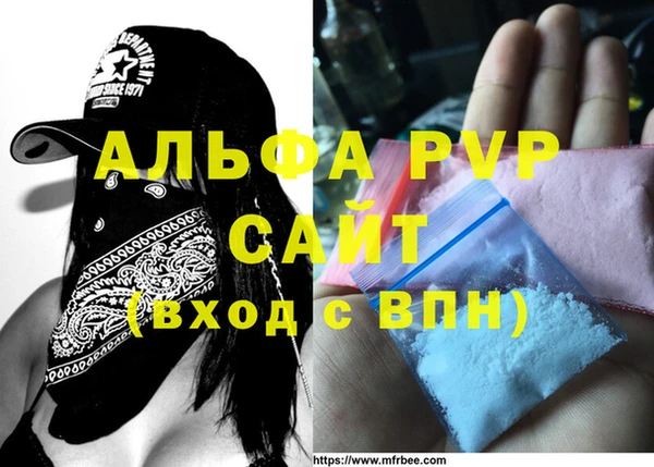 шишки Бердск