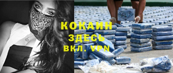 твердый Кулебаки