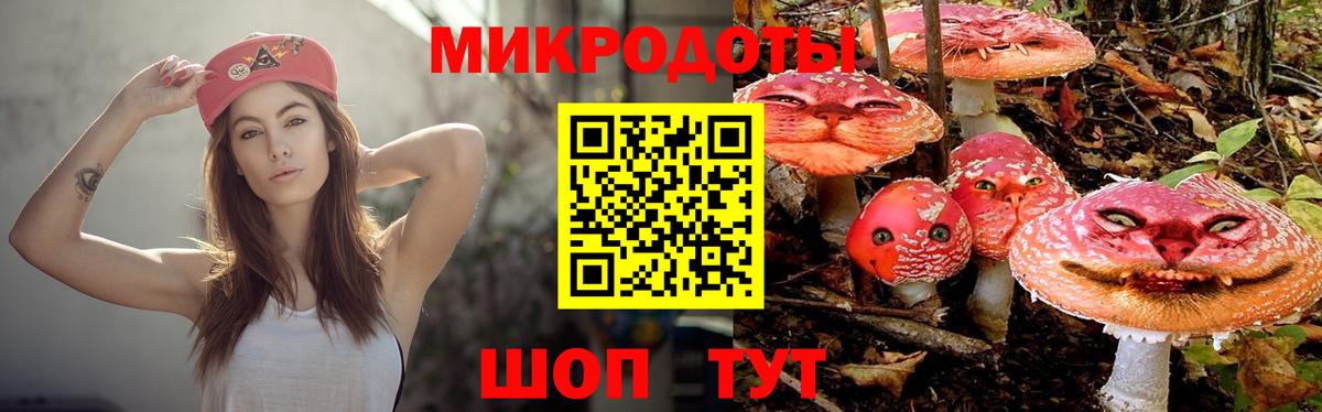 Усть-Илимск  Псилоцибиновые грибы GOLDEN TEACHER  Вход с VPN 