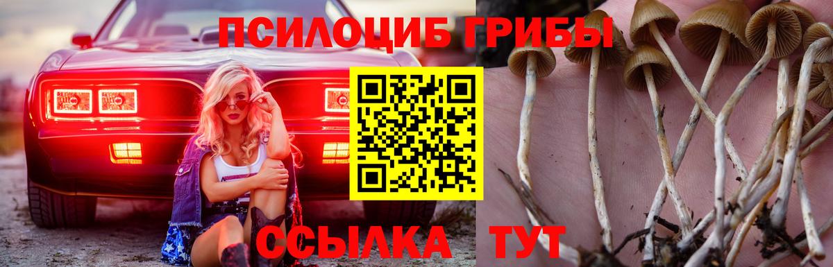 Псилоцибиновые грибы Magic Shrooms  Галлюциногенные грибы GOLDEN TEACHER  Усть-Илимск 